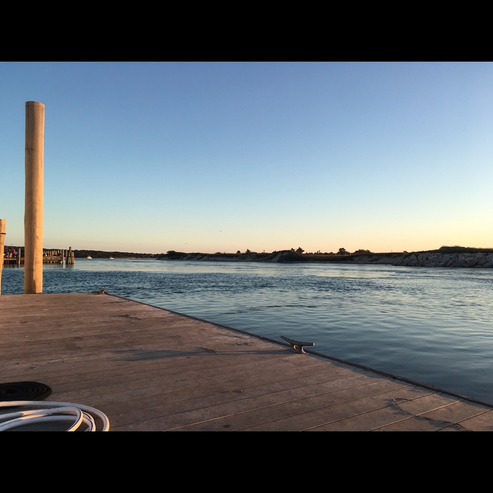 Meet your Posher, Carolyn